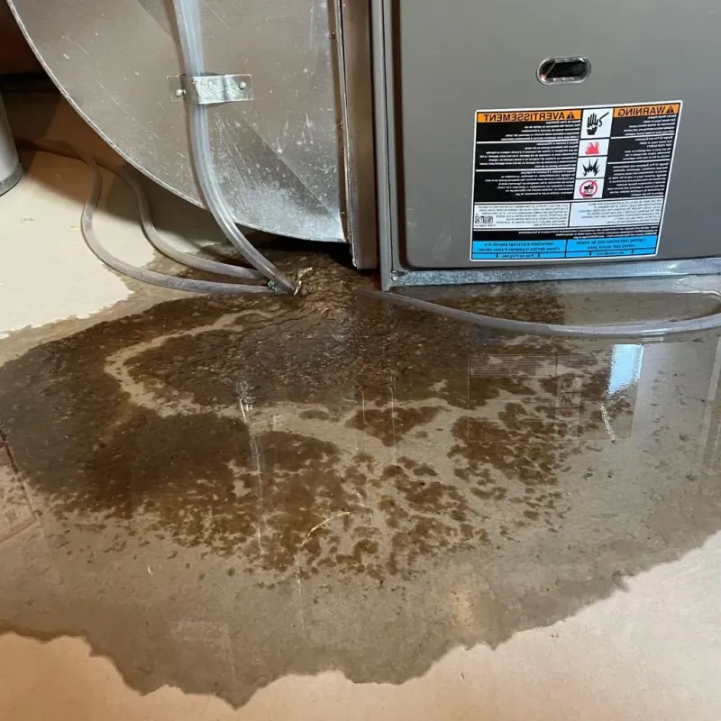 Pipe Burst and Leak Restoration in Long Beach, NC